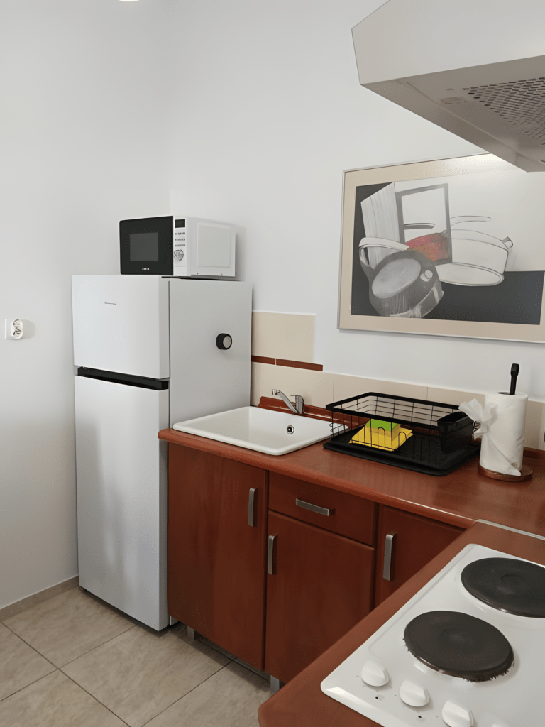 apartament na 5 polanica zdrój kuchnia 1