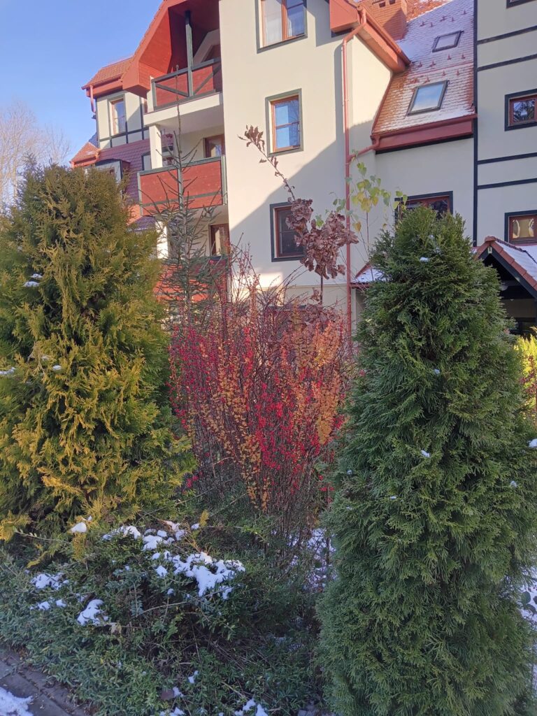 apartament na 5 polanica okolica 29