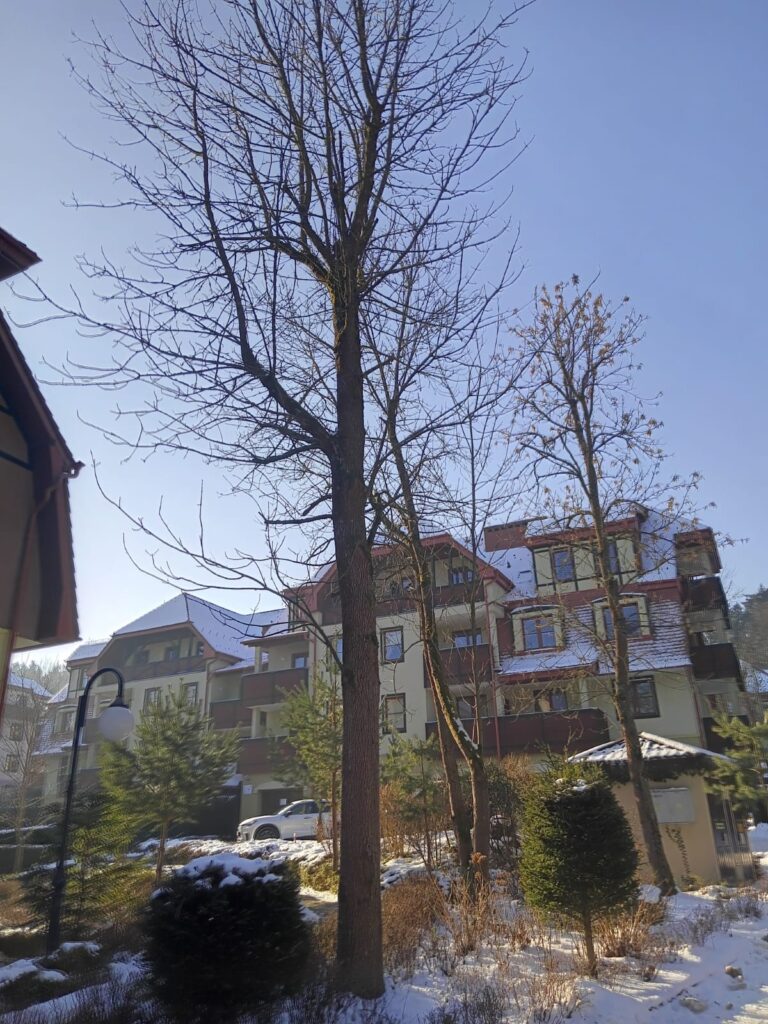 apartament na 5 polanica okolica 36