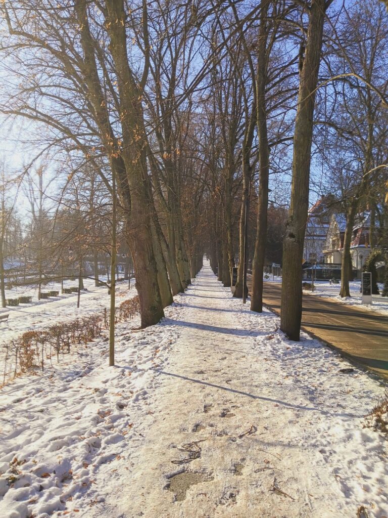 apartament na 5 polanica okolica 38