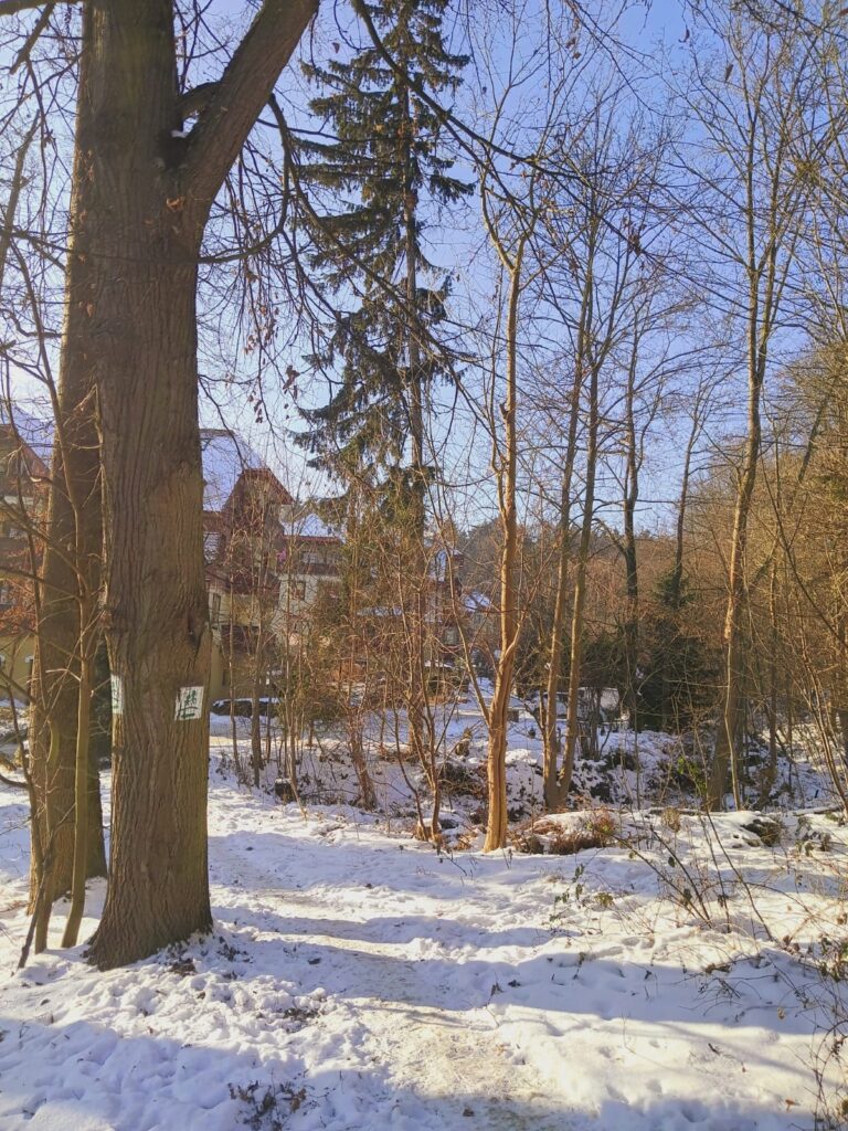 apartament na 5 polanica okolica 40