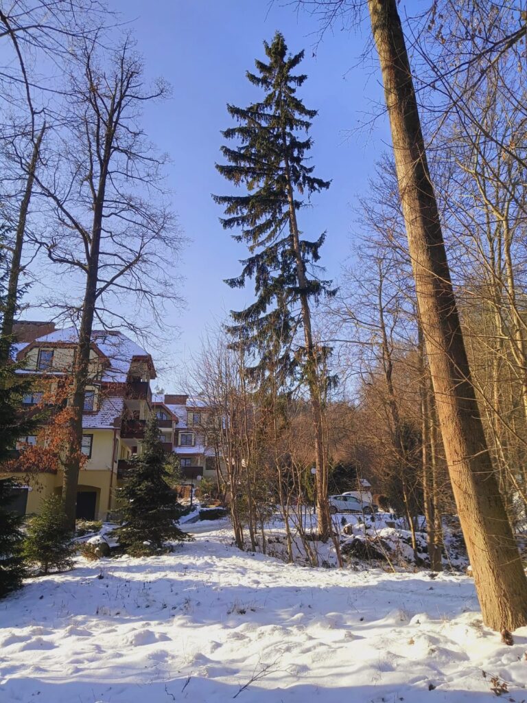 apartament na 5 polanica okolica 41